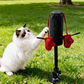 🐱🥊 Interaktiv kattboxleksak – Ultimat leknöje