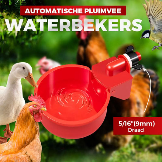 🔥Automatisk vattenautomat för höns och fågelmatare
