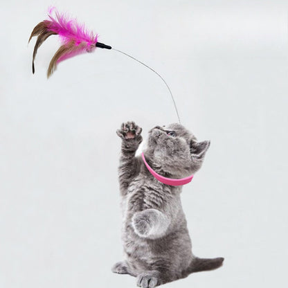 🐱 2026 Katthalsband med fjäder & bjällra 🎀 Självaktiverande kattleksak