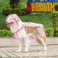 🐶☔ Chubasquero transparente para perros – Protección contra la lluvia y el viento