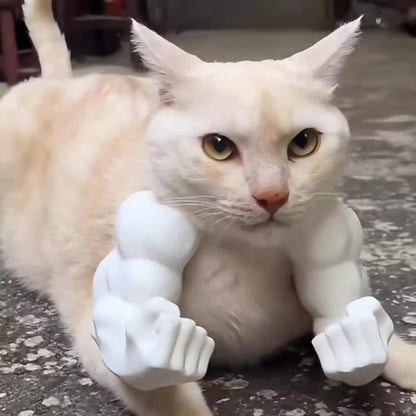 3D katt muskelarm hänge rolig skämtleksak 2026