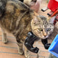 3D katt muskelarm hänge rolig skämtleksak 2026