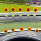 Girasol ondulado para el salpicadero del coche