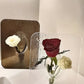 Akryl fotoram vas 2026 transparent bordsdekoration blommor hydroponi vardagsrum
