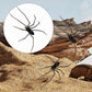 🕷️ Imanes de nevera con forma de araña