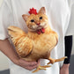 🐱🐔 Cojín Gato Gallina Divertido – Decoración Original 2026 ✨