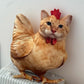 🐱🐔 Cojín Gato Gallina Divertido – Decoración Original 2026 ✨