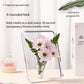 Akryl fotoram vas 2026 transparent bordsdekoration blommor hydroponi vardagsrum