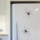 🕷️ Imanes de nevera con forma de araña