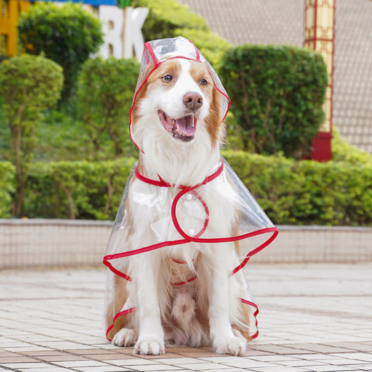 🐶☔ Genomskinlig regnjacka för hundar – Skydd mot regn och vind
