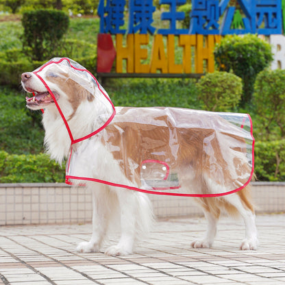 🐶☔ Chubasquero transparente para perros – Protección contra la lluvia y el viento