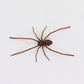 🕷️ Imanes de nevera con forma de araña