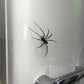 🕷️ Imanes de nevera con forma de araña