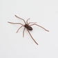🕷️ Imanes de nevera con forma de araña