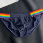 Men's Sexy Rainbow Pride Mesh Bikini