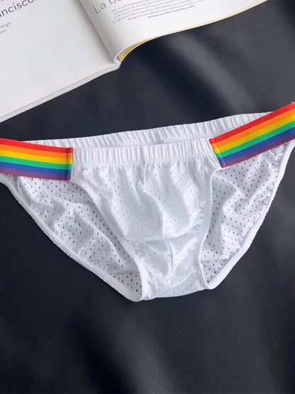 Men's Sexy Rainbow Pride Mesh Bikini