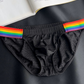 Men's Sexy Rainbow Pride Mesh Bikini