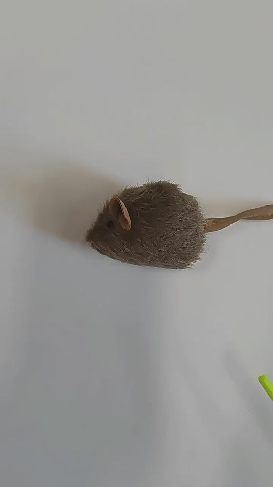 [Kattens favoritleksak] Plyschsimulerad mus